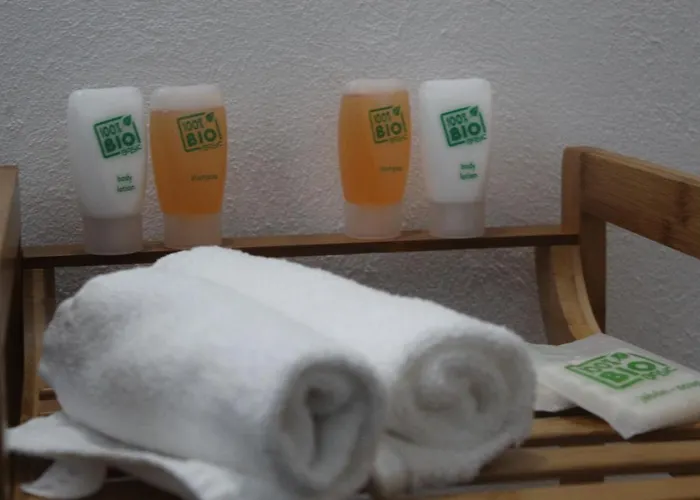 Private In The Heart Of Polanco